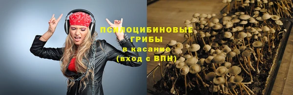PSILOCYBIN Заволжск