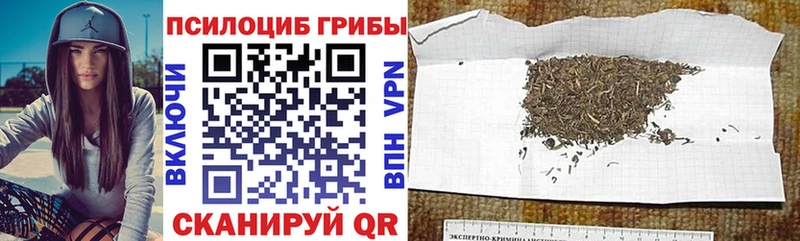 Псилоцибиновые грибы MAGIC MUSHROOMS  Купить где  Семикаракорск 